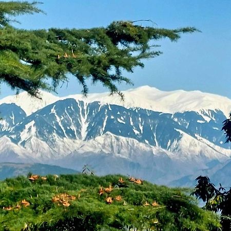 Aditya Homestay Далхаузи Экстерьер фото
