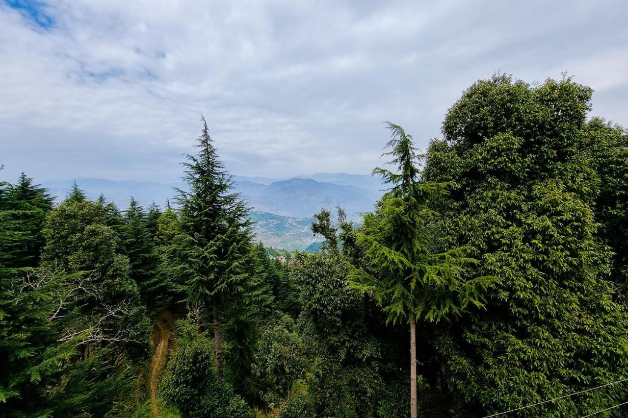 Aditya Homestay Далхаузи Экстерьер фото